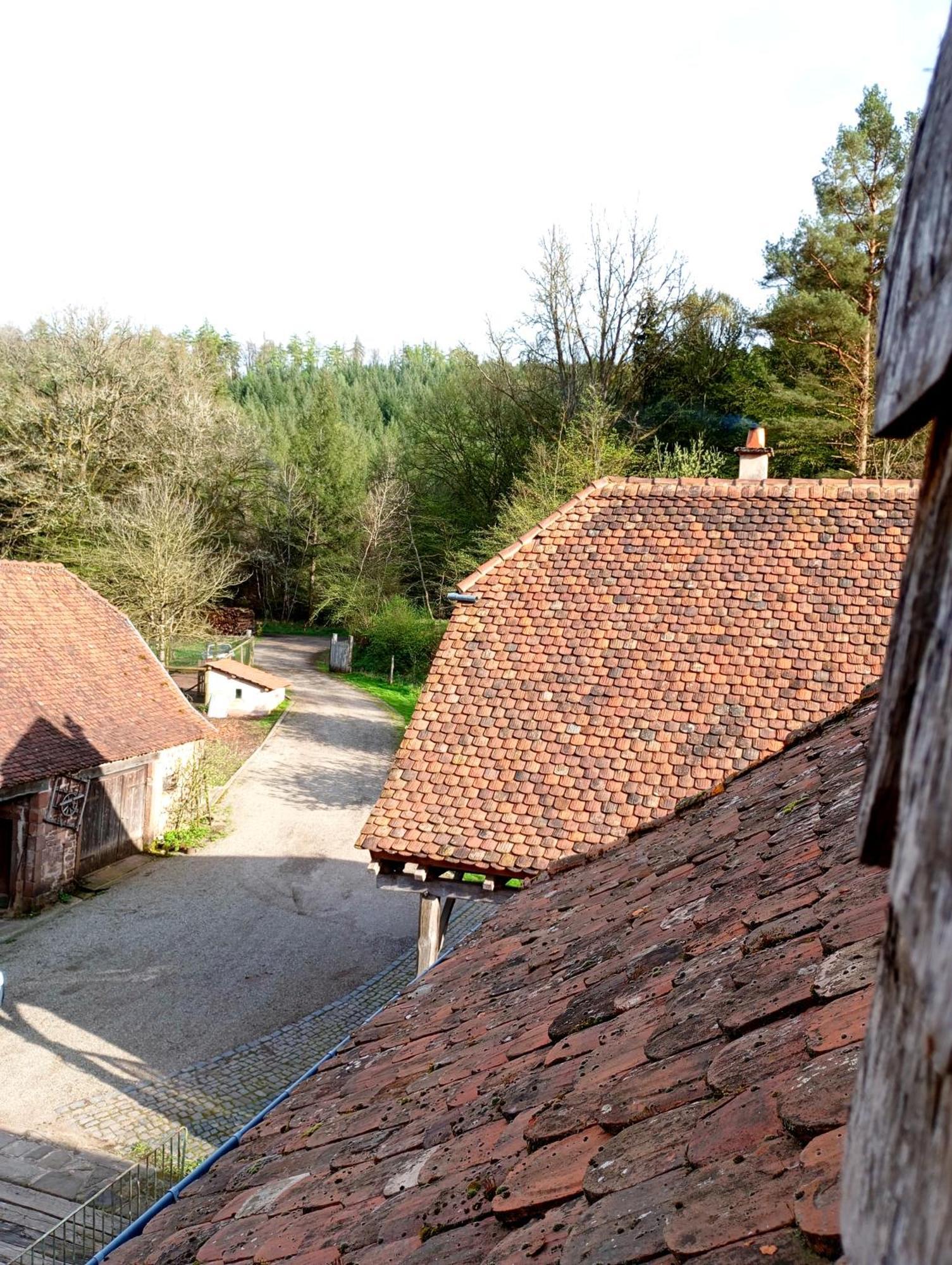 Maison D'Hotes De Charme - Ancien Moulin En Pleine Nature - La Paulusmuehle Soucht Exterior foto