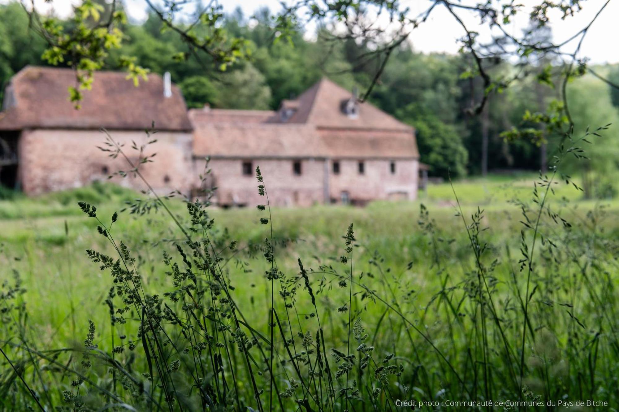 Maison D'Hotes De Charme - Ancien Moulin En Pleine Nature - La Paulusmuehle Soucht Exterior foto